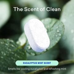 1 Year of Bathroom Cleaner