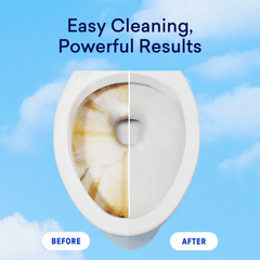 Laundry Detergent & Toilet Bowl Cleaner Duo